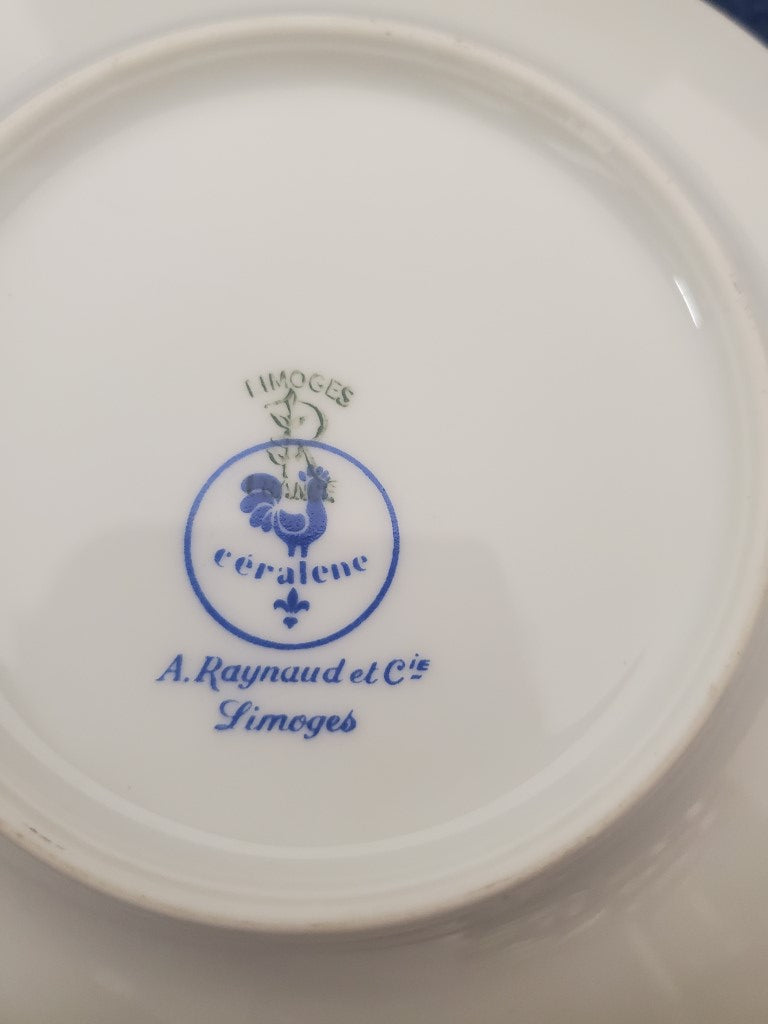 Ceralene Morning Glory Sprays Cup & Saucer Set