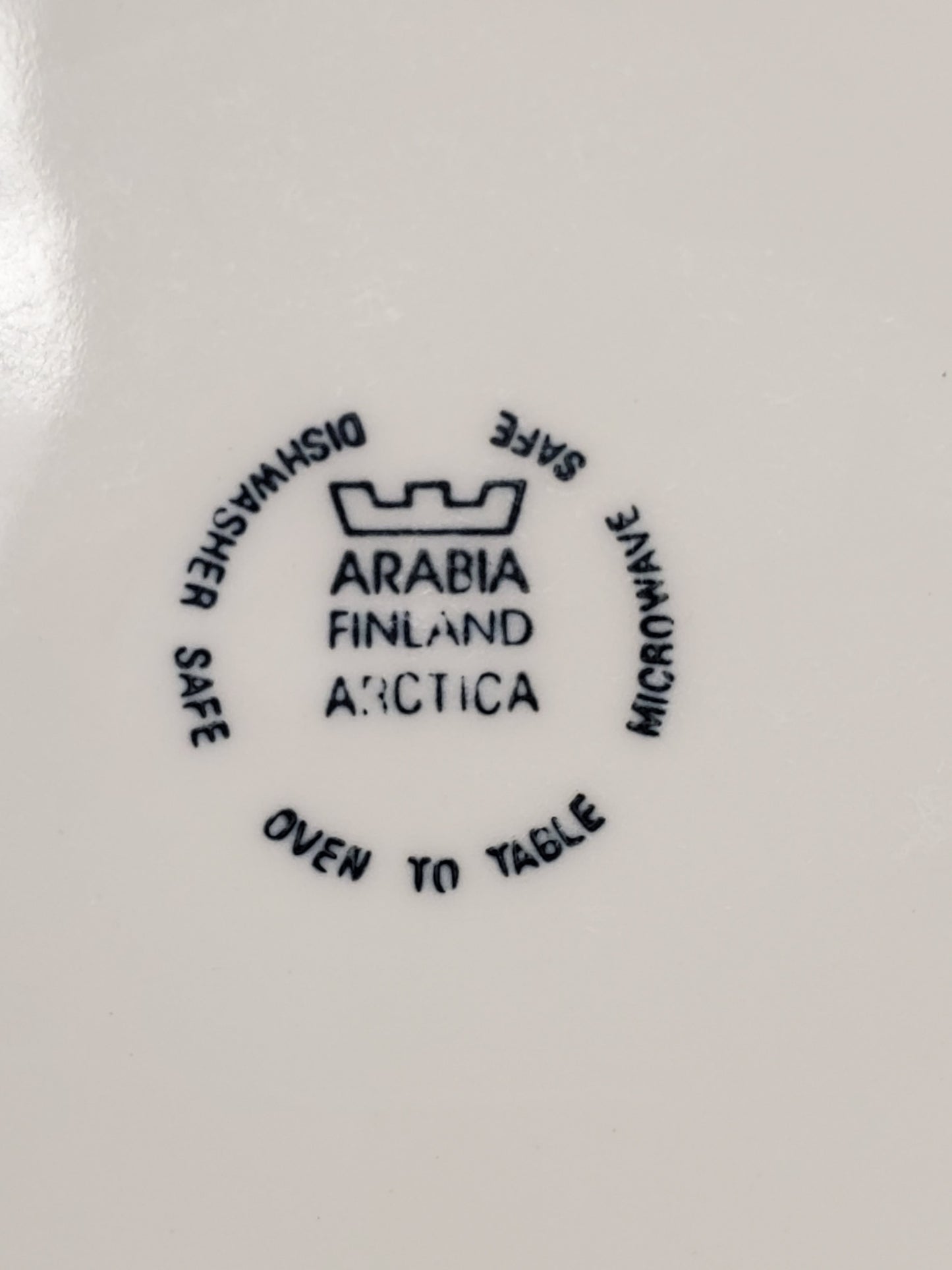 Set of 2 Arabia (Finland) Arctica Dinner Plates LK