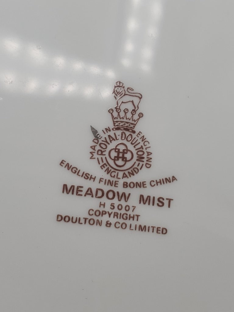 Set of 6 Royal Doulton Meadow Mist Dinner Plates LK