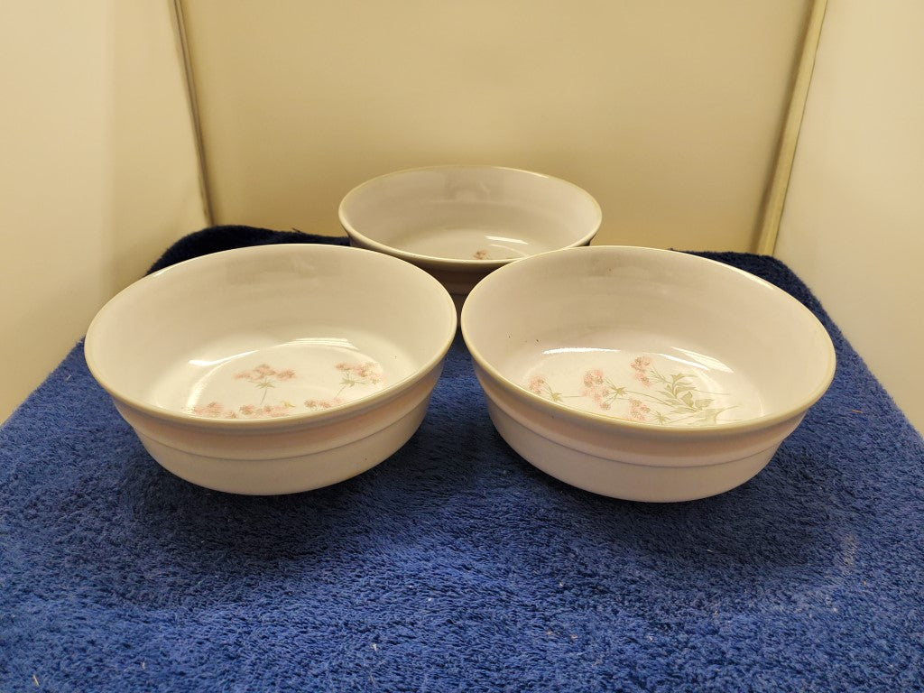 Set of 3 Denby Brittany Coupe Soup Bowls LK