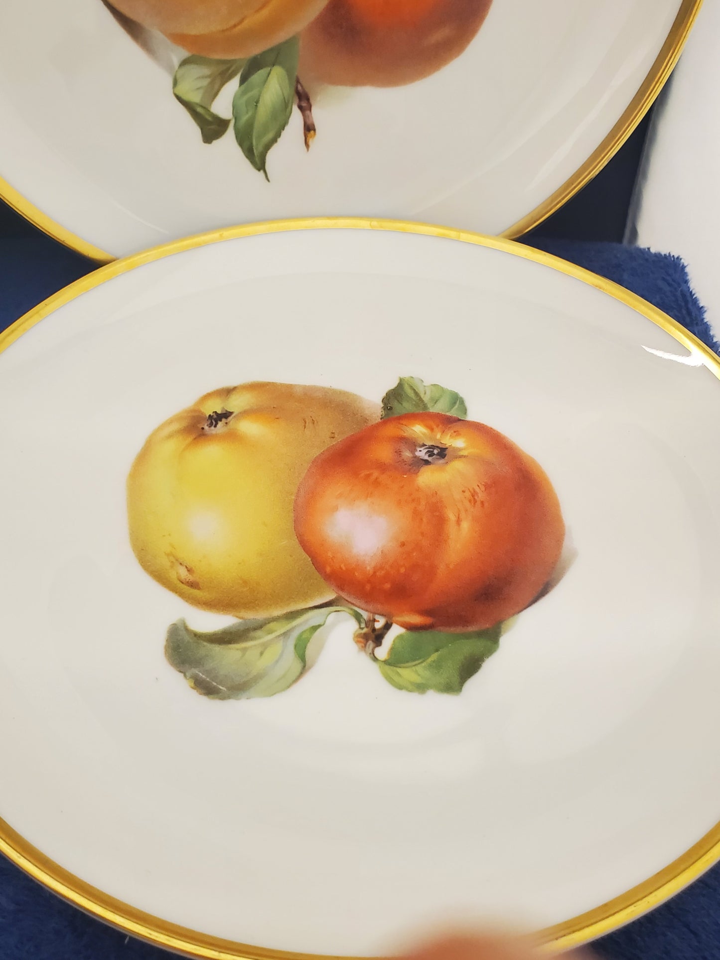 Hutschenreuther Pairs of Fruits (Hut749) Set of 6 Salad Plates