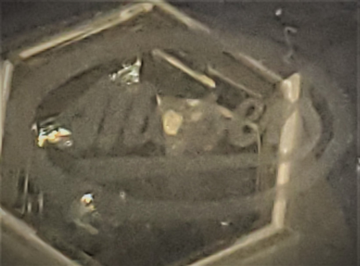 Set of 5 Moser Pope Cordial Glasses