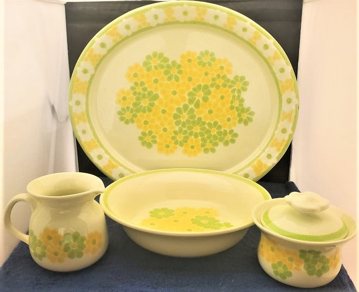 Franciscan Picnic Hostess Set LK