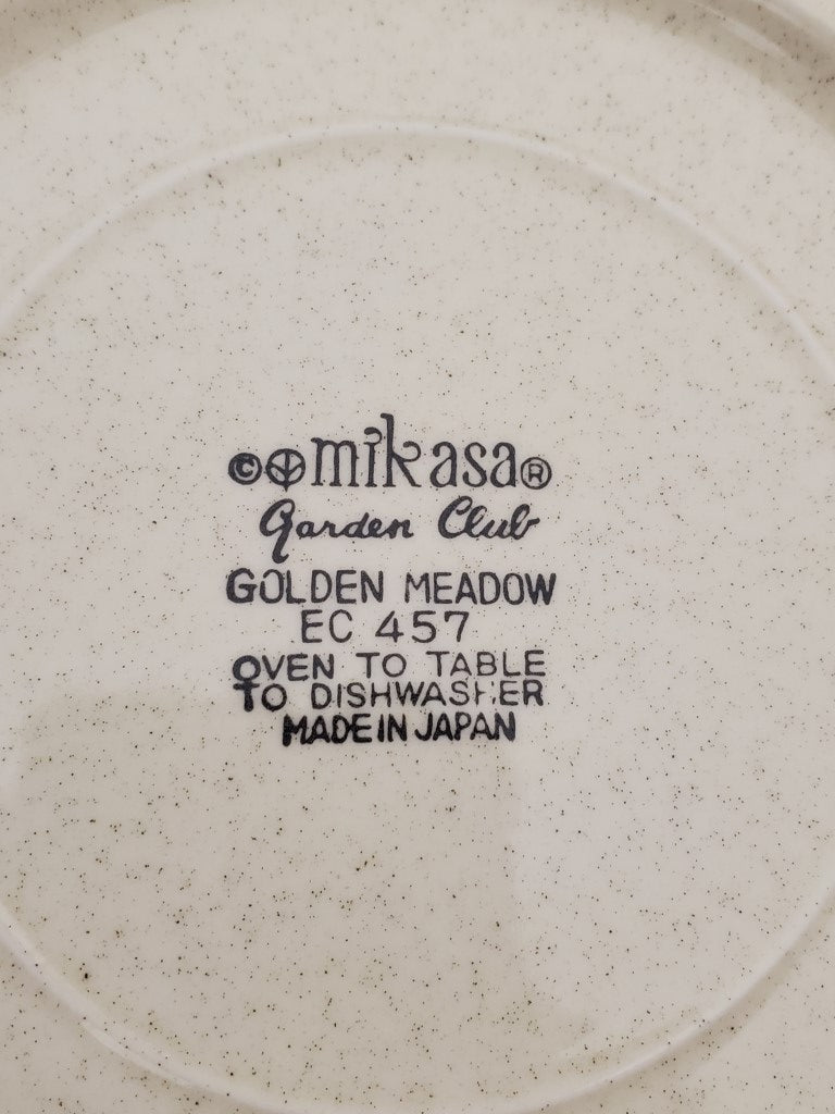 Mikasa Golden Meadow 19 Piece Set