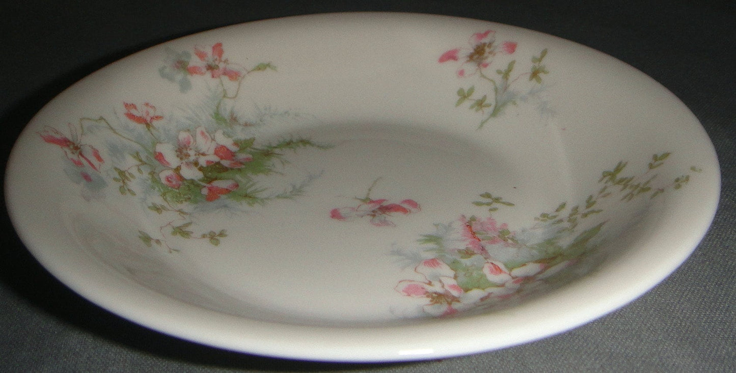 Set of 6 Haviland Apple Blossom (No Gold Trim) Fruit-Dessert Bowl