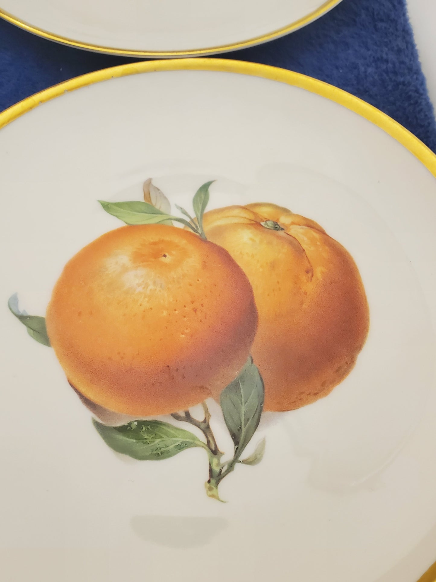 Hutschenreuther Pairs of Fruits (Hut749) Set of 6 Salad Plates