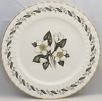 Set of 6 Royal Worcester Engadine (No Inner Verge) Dinner Plates