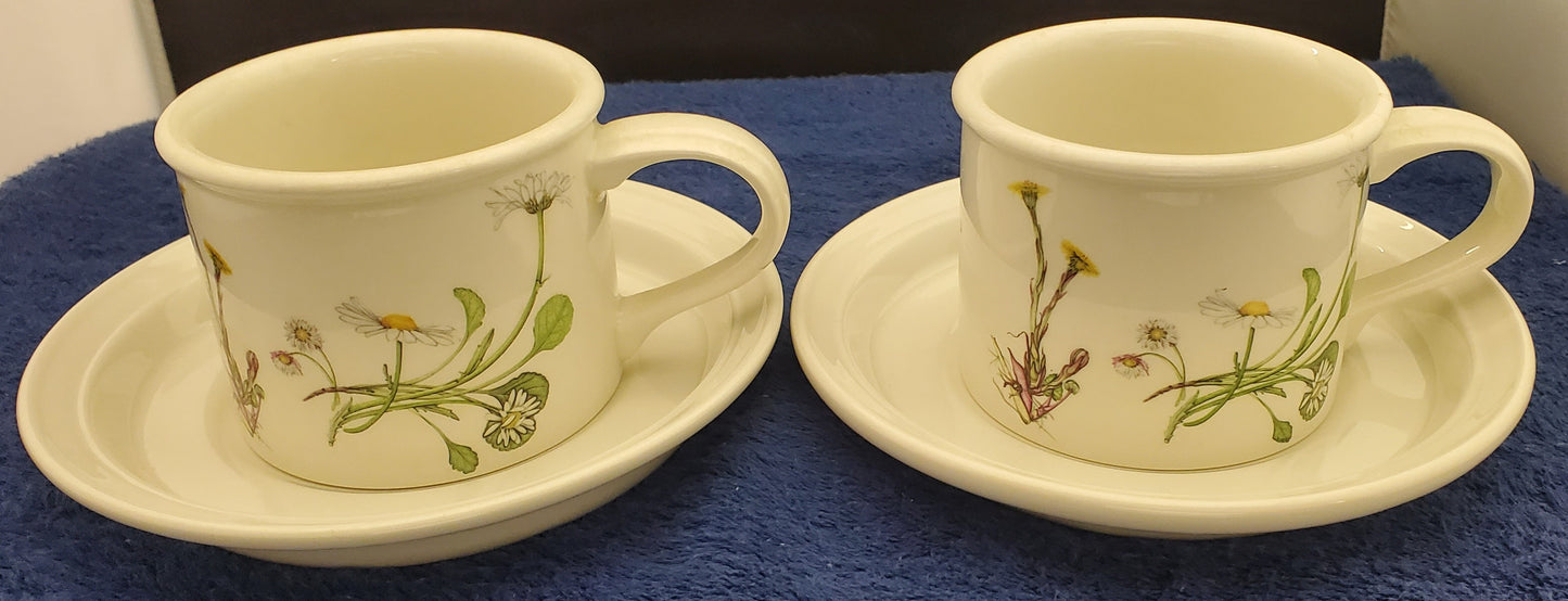 Set of 2 Portmeirion Queen's Hidden Garden Drum Flat Cup & Saucer Sets (Daisy)