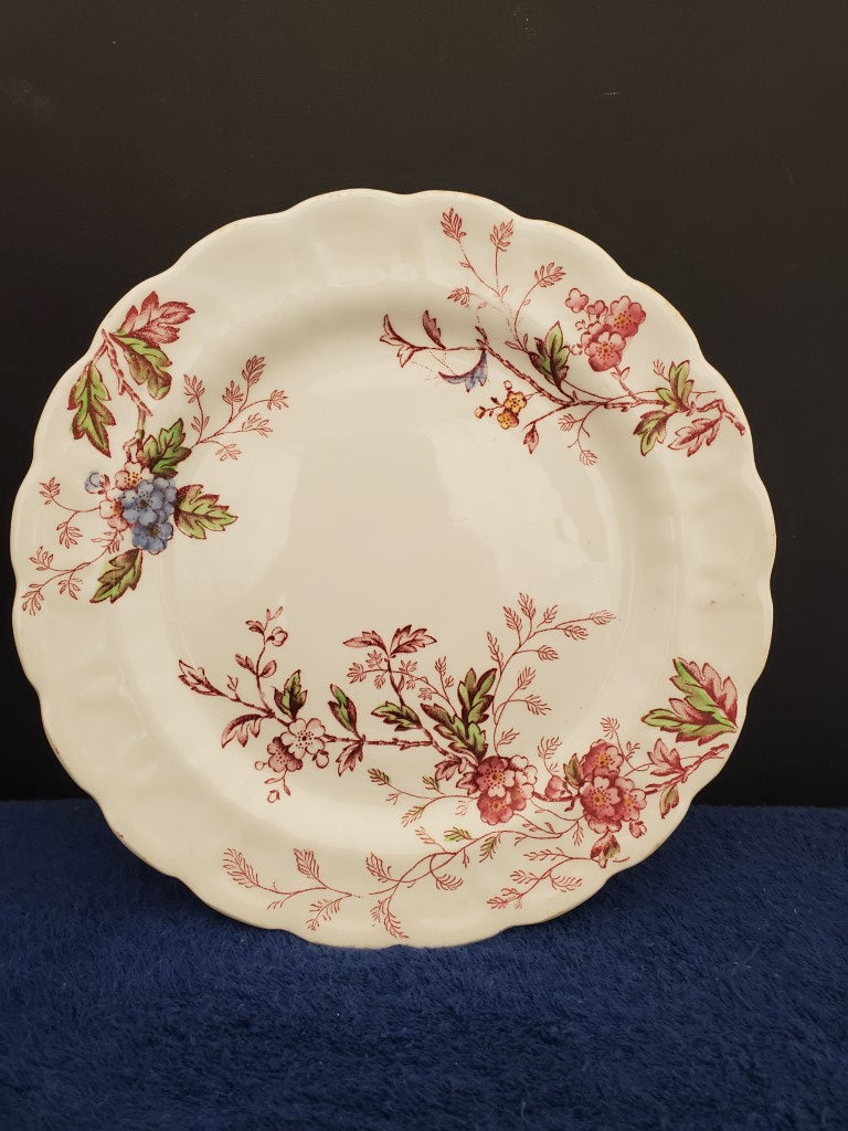 Set of 5 Booths Washingtom (Multicolor, Scalloped) Salad Plates