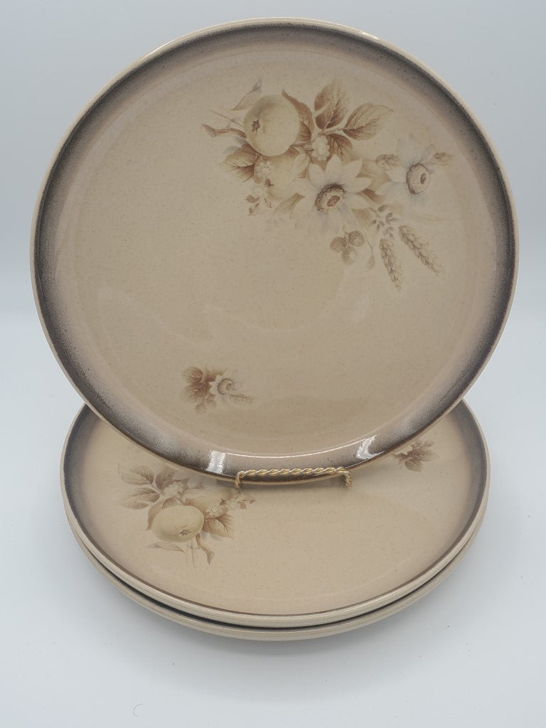 Set of 3 Denby Memories Salad Plates LK