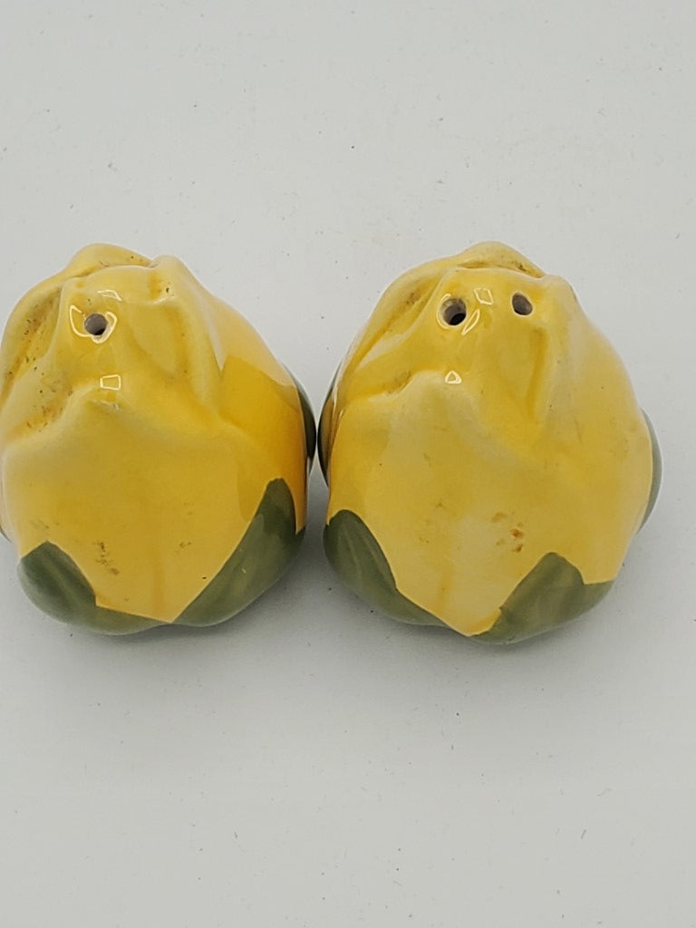 Franciscan Meadow Rose Salt & Pepper Shakers LK