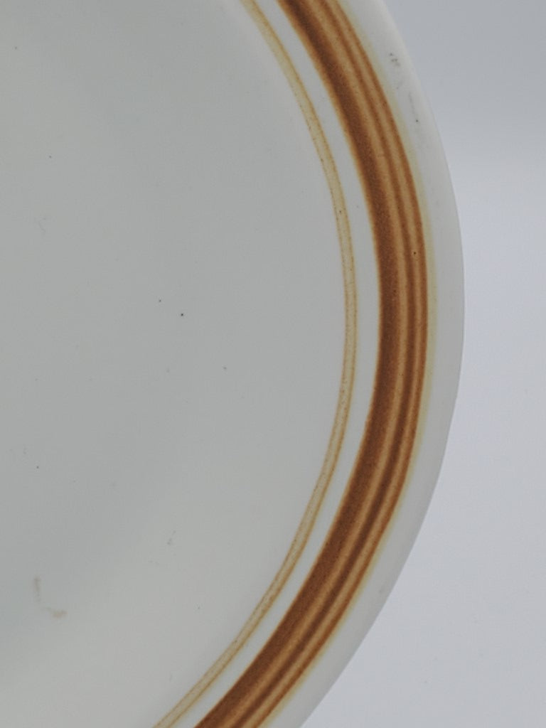 Royal Doulton Cinnamon 13" Oval Serving Platter LK
