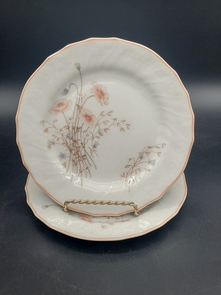 Set of 2 Royal Doulton Brienne Salad Plates LK