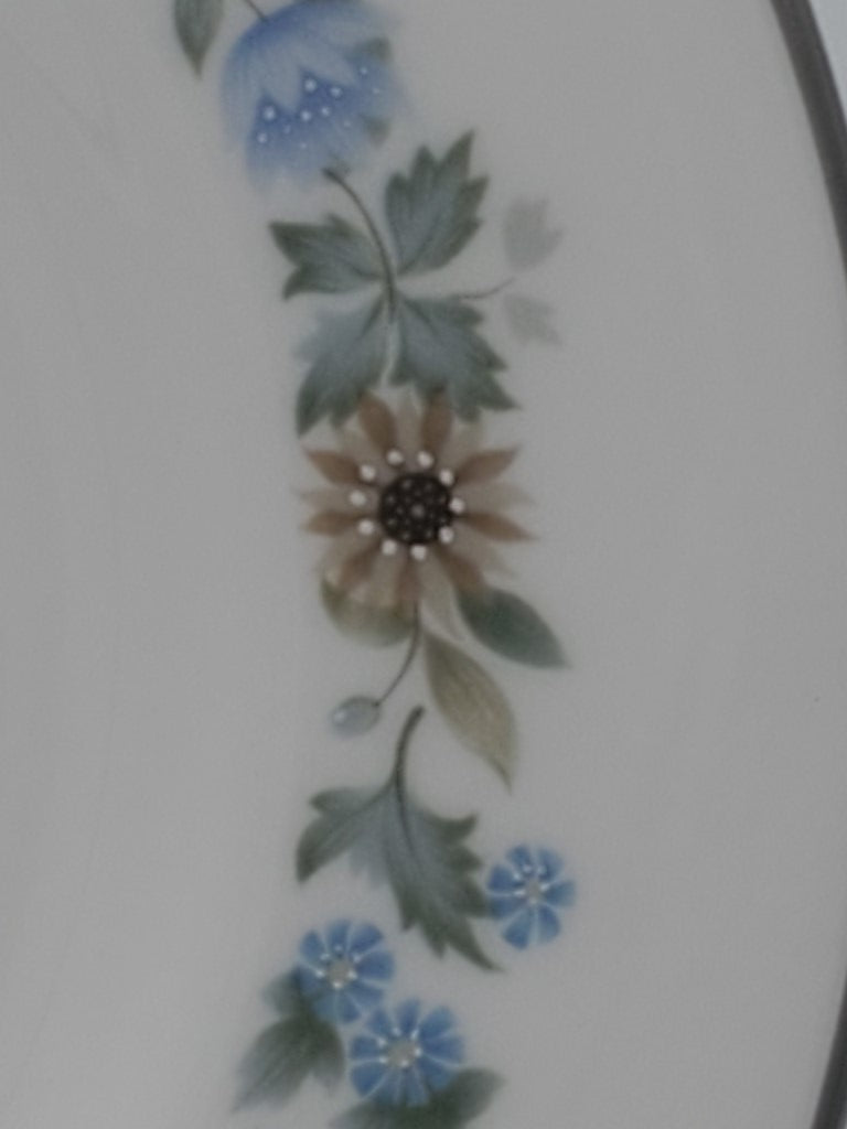 Set of 6 Royal Doulton Pastorale Salad Plates LK