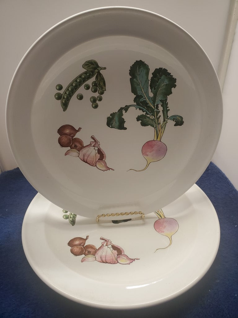 Set of 2 Wedgwood Gourmet Dinner Plates LK