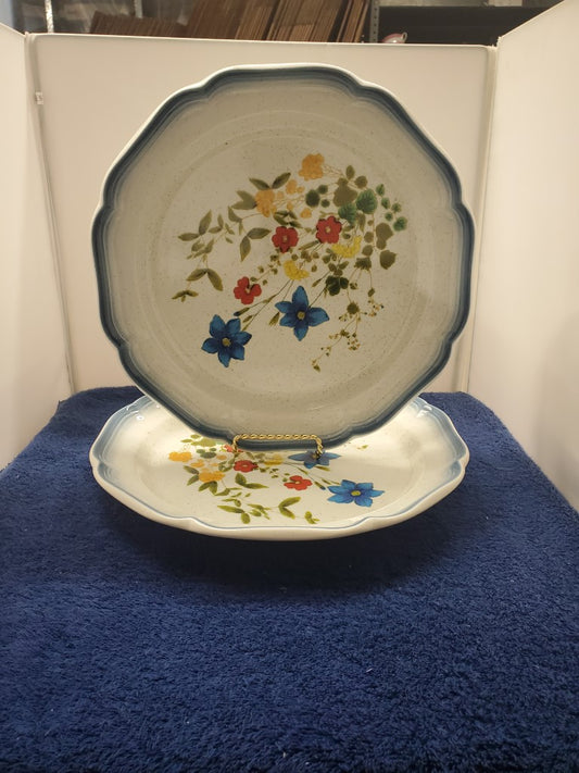 Set of 2 Mikasa Country Club Dinner Plates
