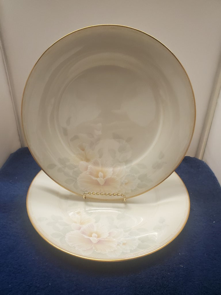 Set of 2 Noritake Sweet Surprise Dinner Plates LK