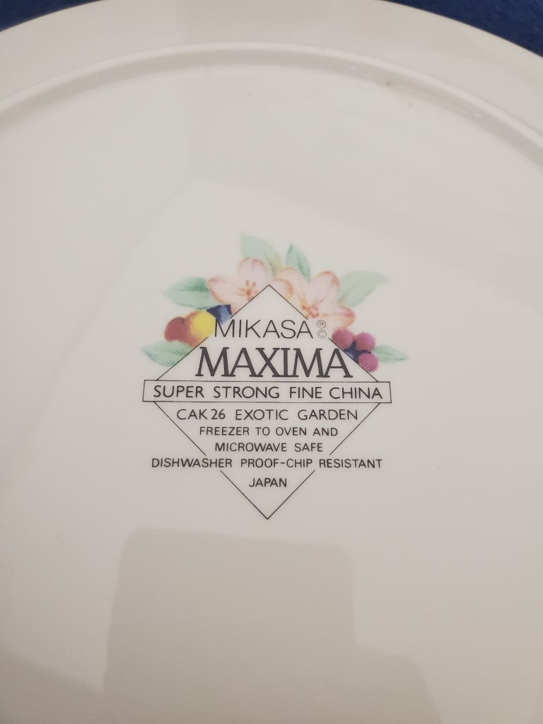 Set of 2 Mikasa Exotic Garden Rimmed Soup Bowls LK