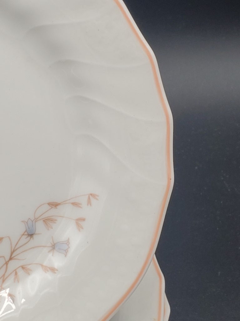 Set of 2 Royal Doulton Brienne Salad Plates LK
