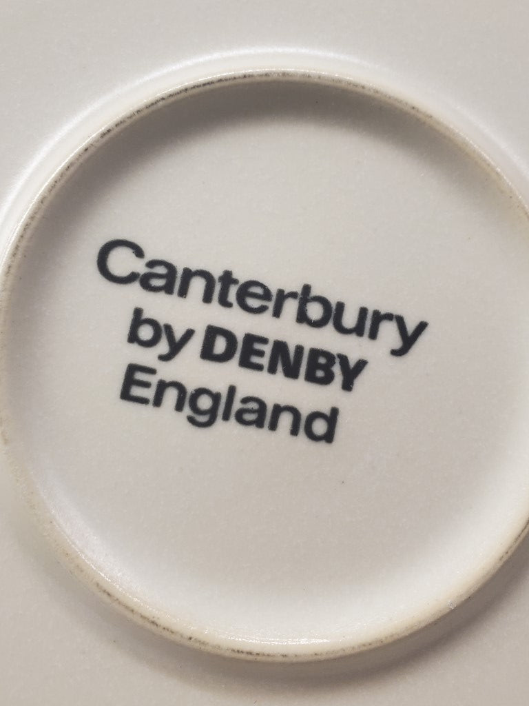Set of 6 Denby Canterbury Salad Plates LK