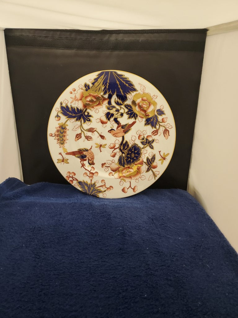 Set of 5 Coalport Hong Kong Dinner Plates LK