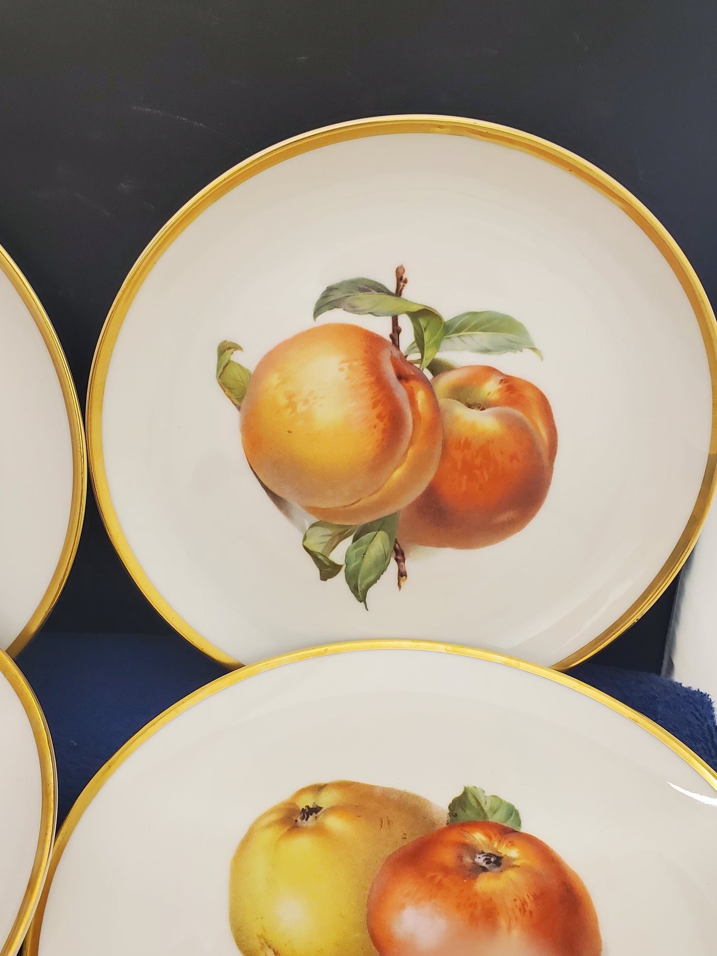 Hutschenreuther Pairs of Fruits (Hut749) Set of 6 Salad Plates