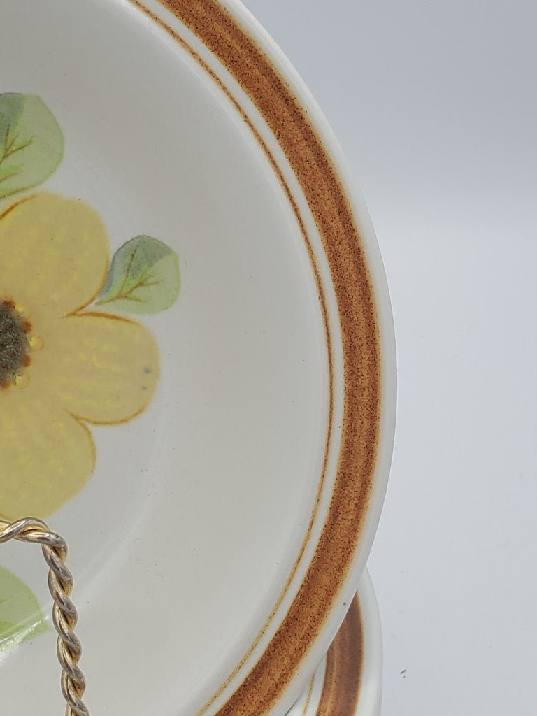 Set of 6 Royal Doulton Summer Days Coupe Soup Bowls LK