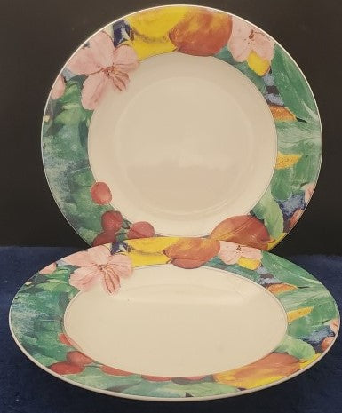 Set of 2 Mikasa Exotic Garden Rimmed Soup Bowls LK
