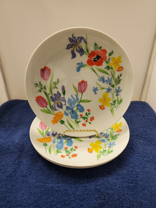 Set of 3 Sigma Primavera Dinner Plates LK