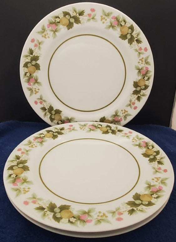 Set of 3 Mikasa Sumay Dinner Plates LK