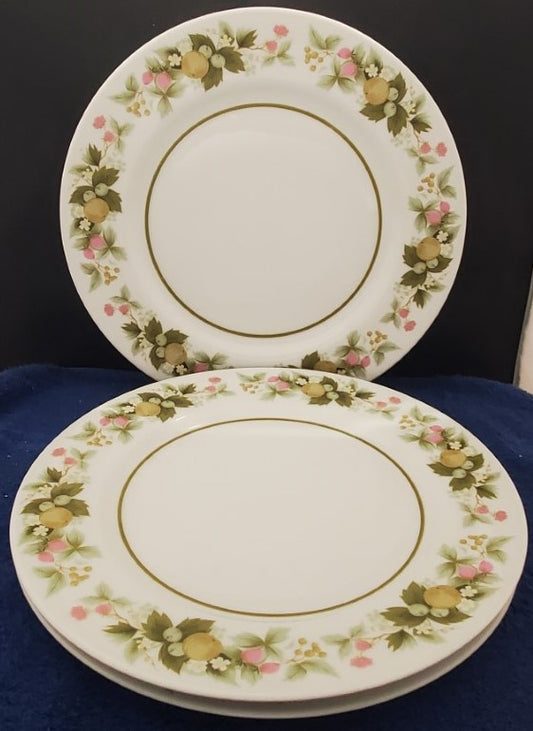 Set of 3 Mikasa Sumay Dinner Plates LK