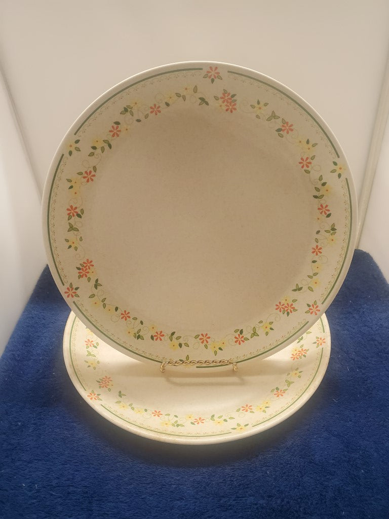 Set of 2 Lenox Countryside Dinner Plates LK