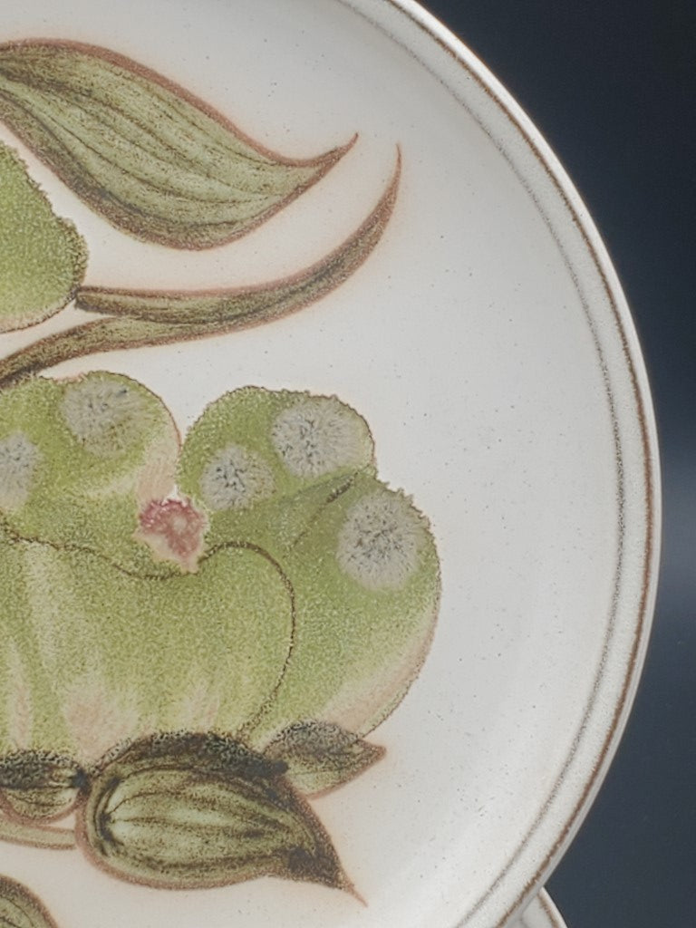 Set of 6 Denby Troubadour Salad Plates LK
