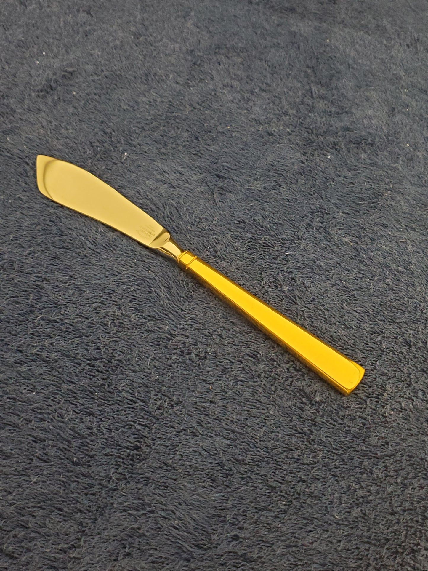 Kirk Steiff Cloisonne Embassy Hollow Hdl Master Butter Knife