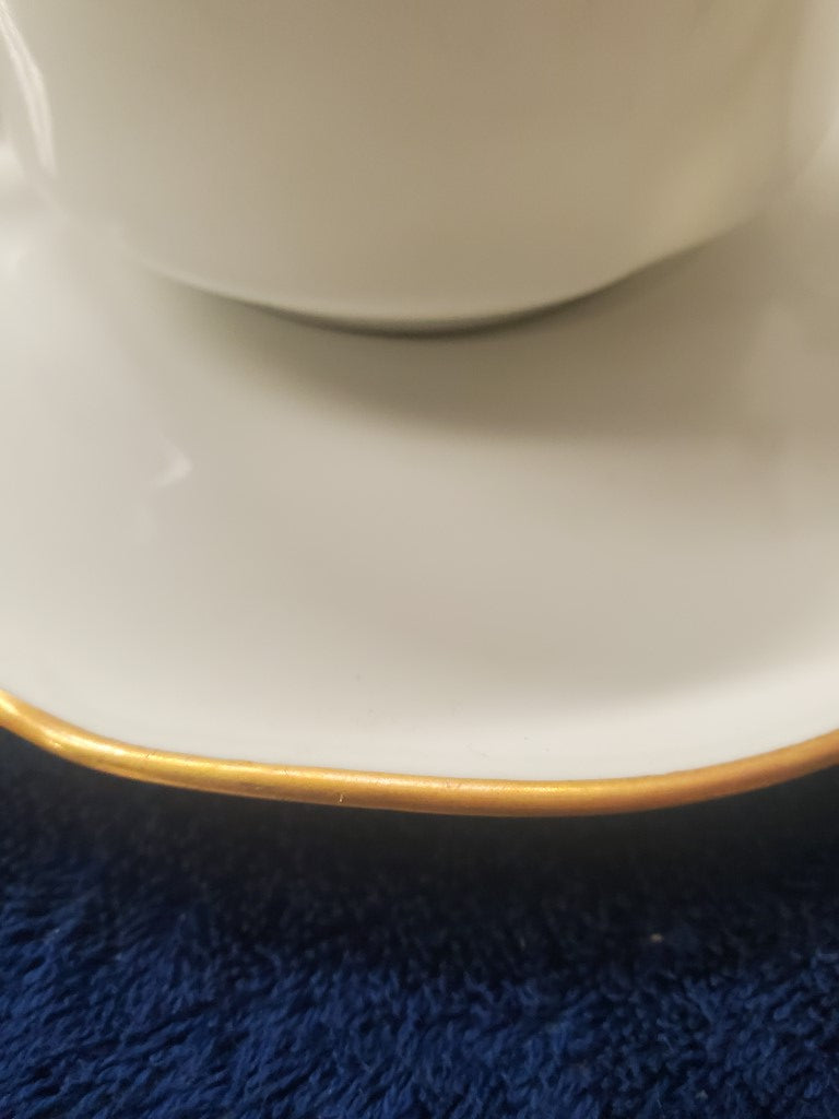 Set of 5 Chastagner Limoges (France) Unknown Cream Soup & Saucer Sets LK