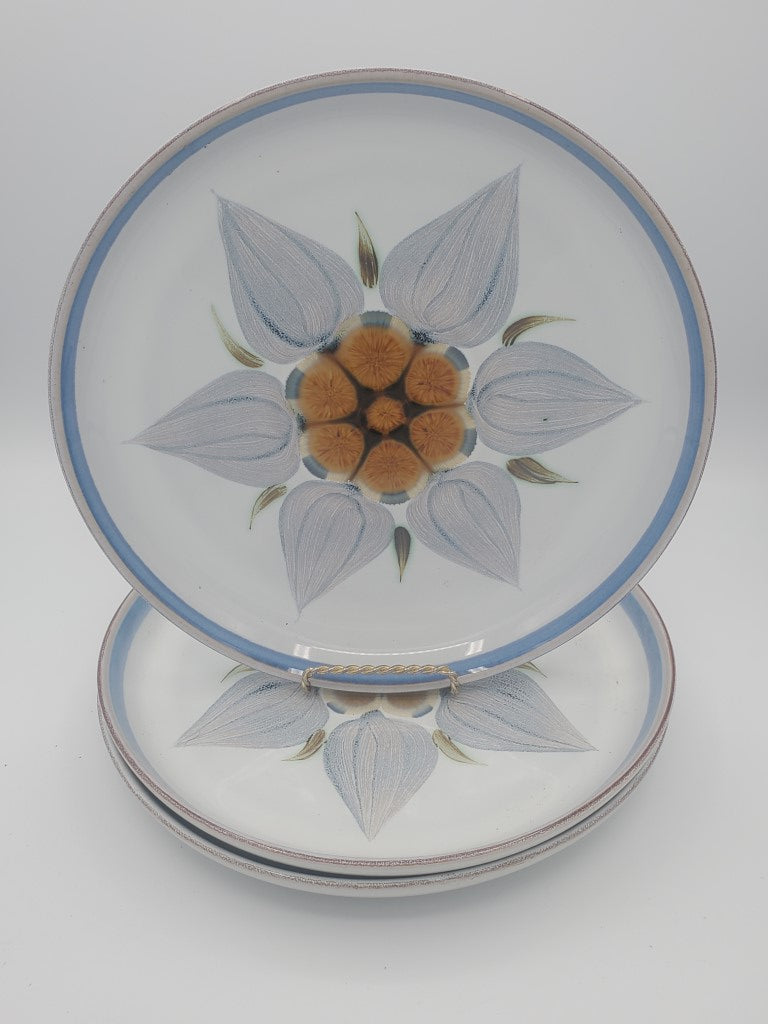Set of 3 Denby Chatsworth Dinner Plates LK