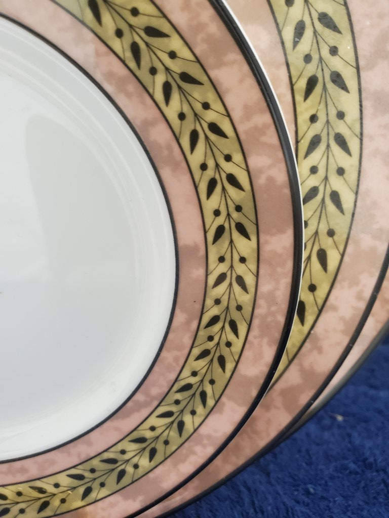 Wedgwood Sparta 5 Piece Place Setting LK