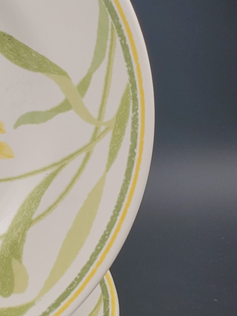 Set of 5 Franciscan Daffodil (Greenhouse) Salad Plates LK