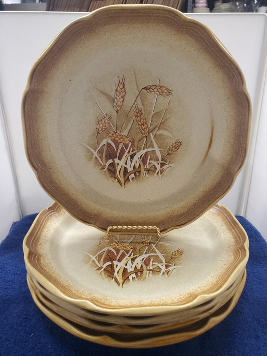Set of 5 Mikasa Whole Wheat Granola Dinner Plates LK