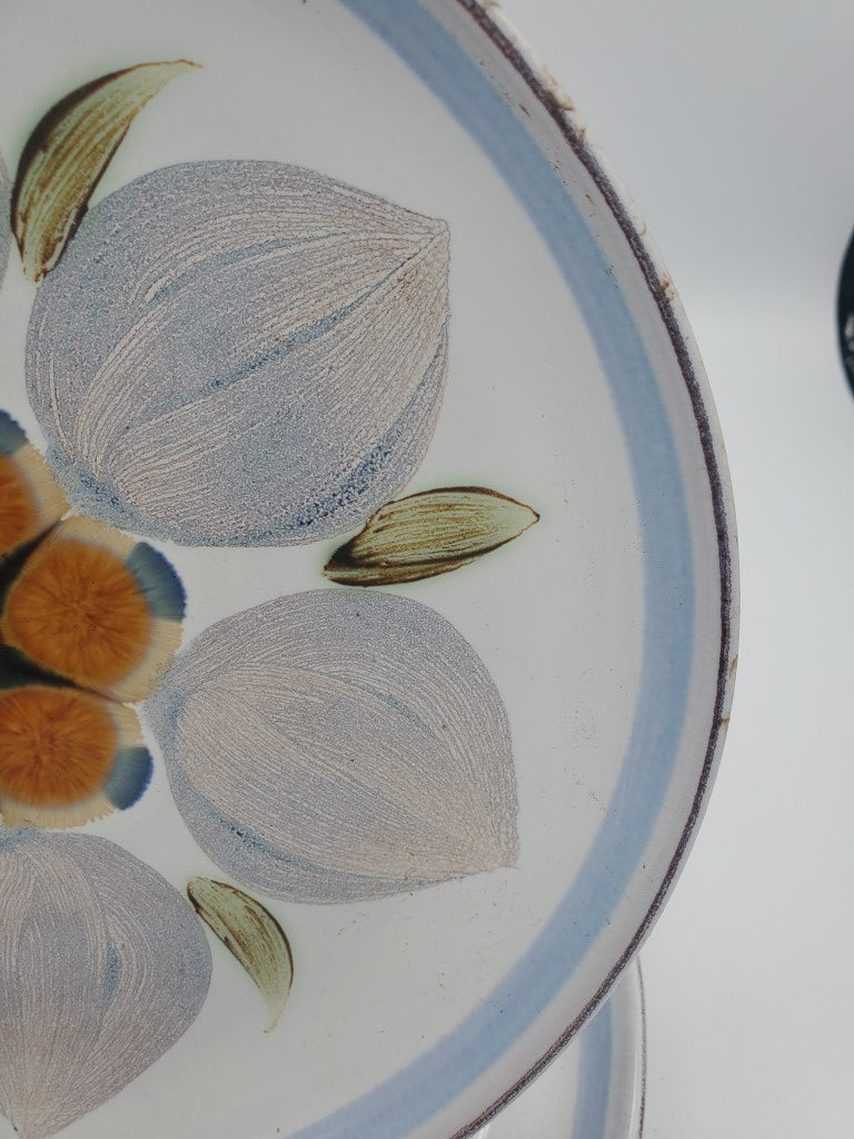 Set of 2 Denby Chatsworth Salad Plates LK