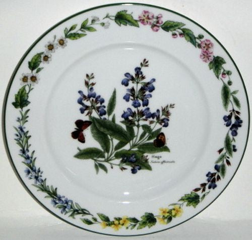 Set of 4 Royal Worcester Worcester Herbs (Green Trim) Salad Plates (Sage)