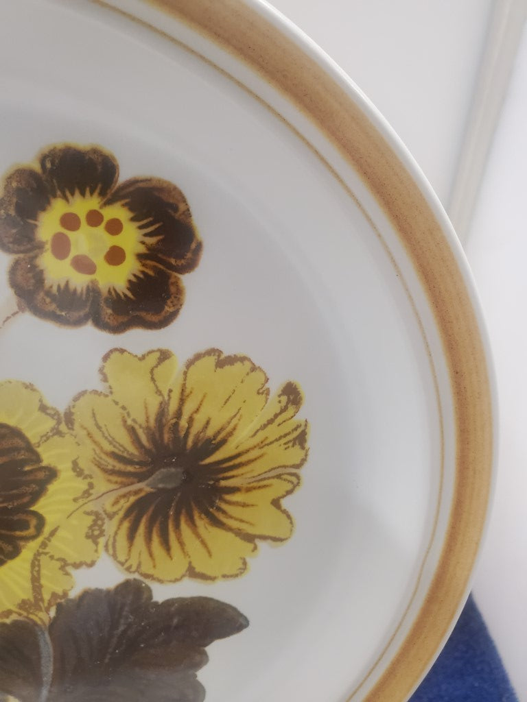 Set of 7 Royal Doulton Forest Glen Dinner Plates LK