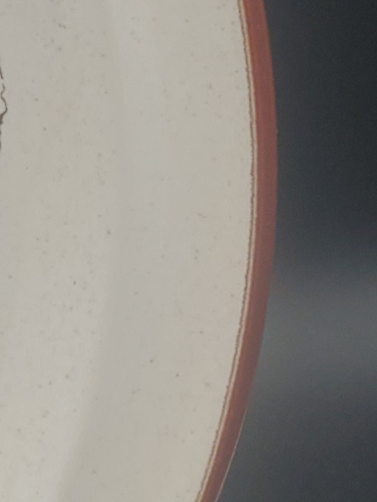 Set of 4 Noritake Desert Flowers Dinner Plates LK