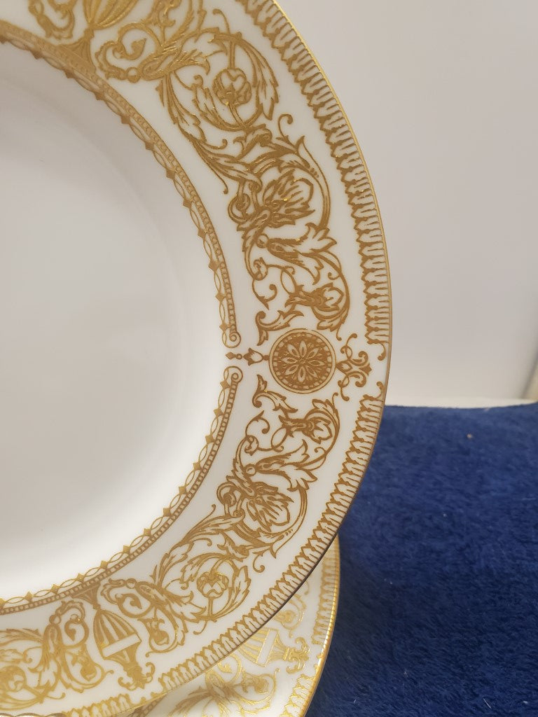 Set of 2 Royal Worcester Hyde Park Salad Plates LK