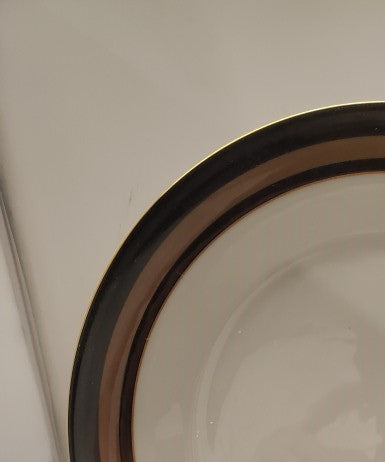 Set of 2 Royal Doulton Cadenza Dinner Plates LK