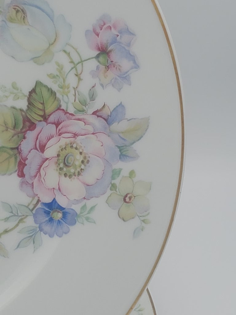 Set of 2 Rosenthal 2554-61 Dinner Plates LK