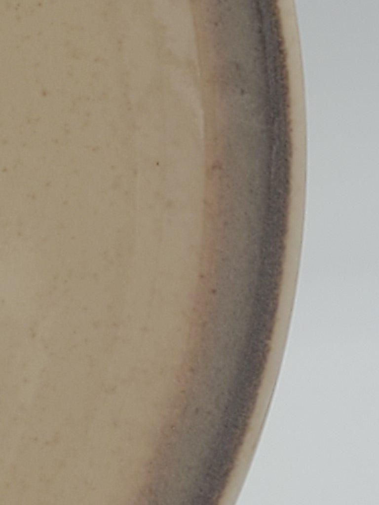 Set of 4 Denby Memories Dinner Plates LK