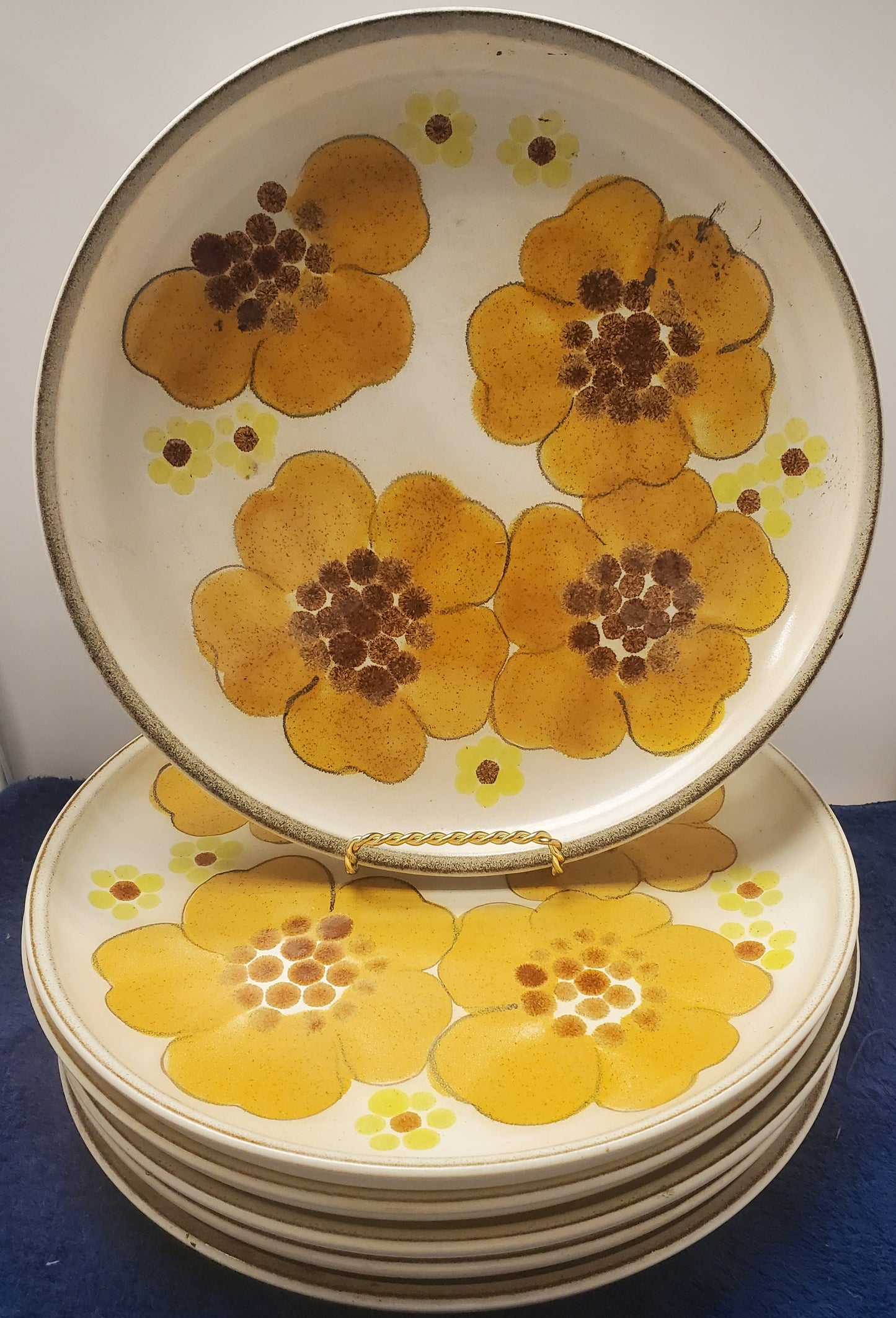 Set of 5 Denby Minstrel Dinner Plates LK