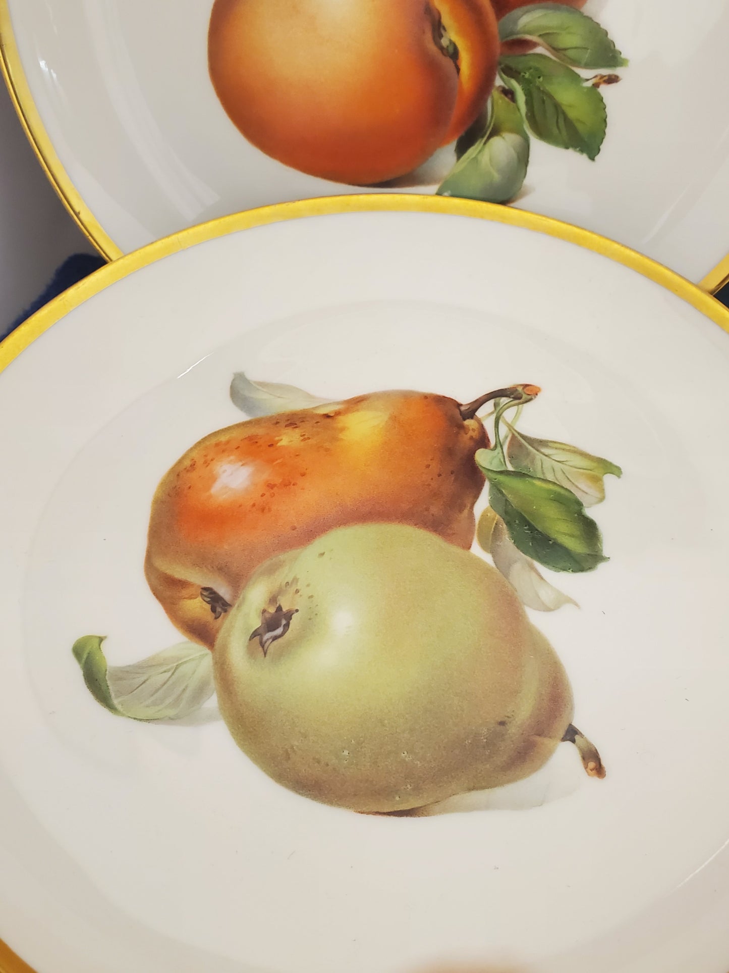 Hutschenreuther Pairs of Fruits (Hut749) Set of 6 Salad Plates