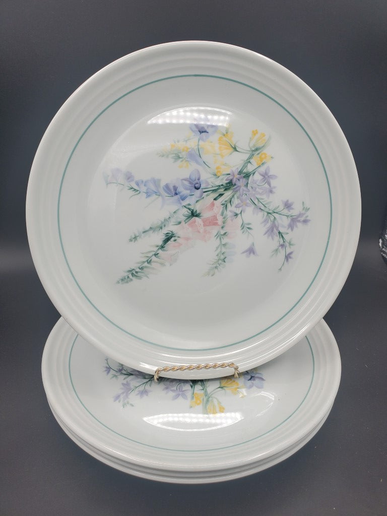 Set of 4 Royal Doulton Shady Lane Dinner Plates LK